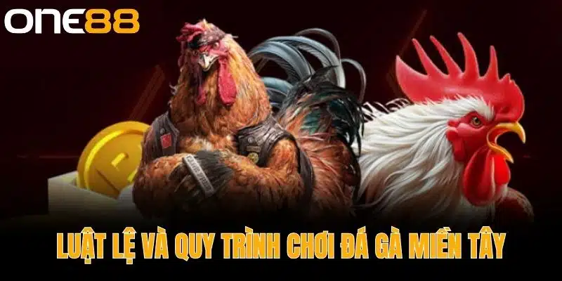 Luật Lệ và Quy Trình Chơi Đá Gà Miền Tây