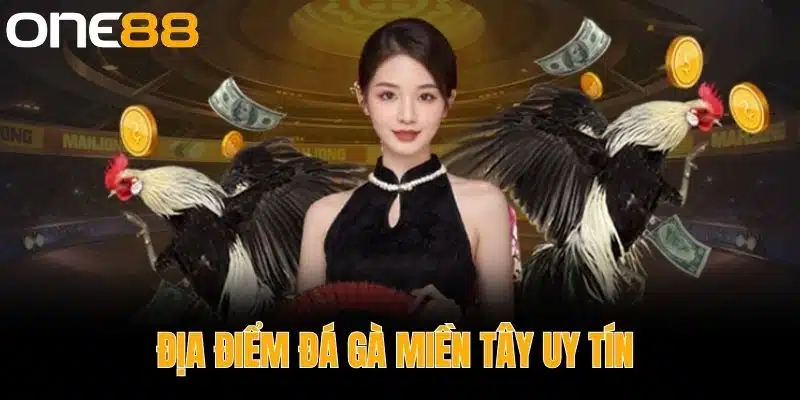 Địa Điểm Đá Gà Miền Tây Uy Tín 