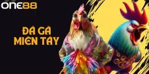 Đá Gà Miền Tây Là Gì? Những Lưu Ý Khi Tham Gia Đá Gà One88