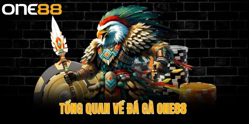Tổng Quan Về Đá Gà One88 