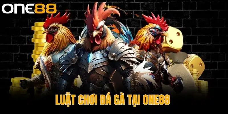 Luật Chơi Đá Gà Tại One88 