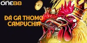 Khám Phá Thế Giới Đá Gà Thomo Campuchia Thú Vị Tại One88